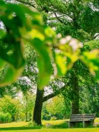 【歷史園林】滑鐵盧公園旅遊攻略，探索加拿大的歷史與自然！。