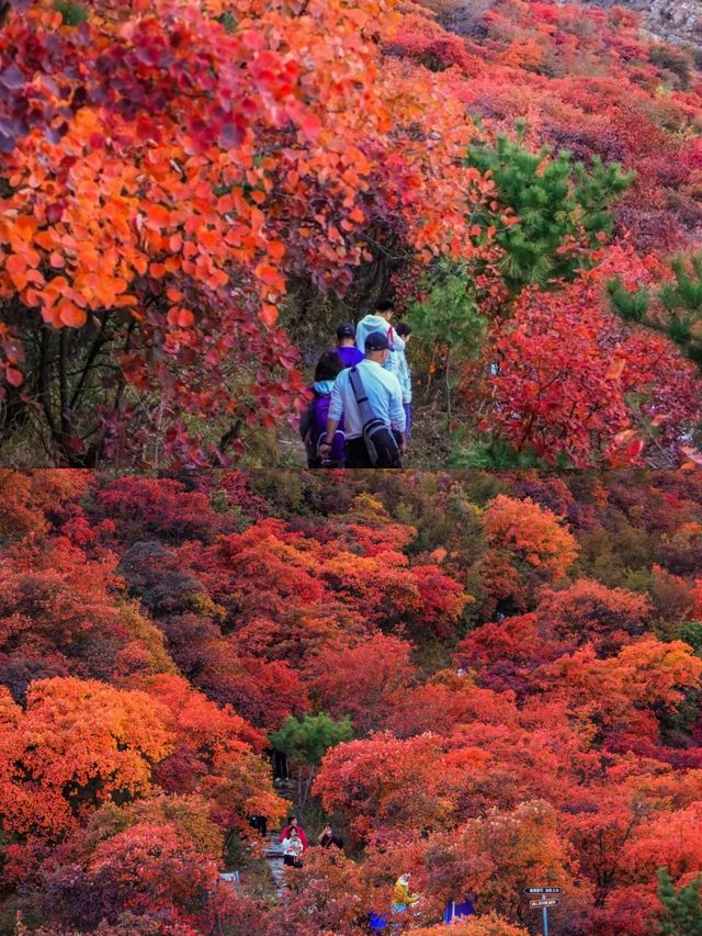 徒步坡峰嶺｜宛如上帝打翻了調色盤。