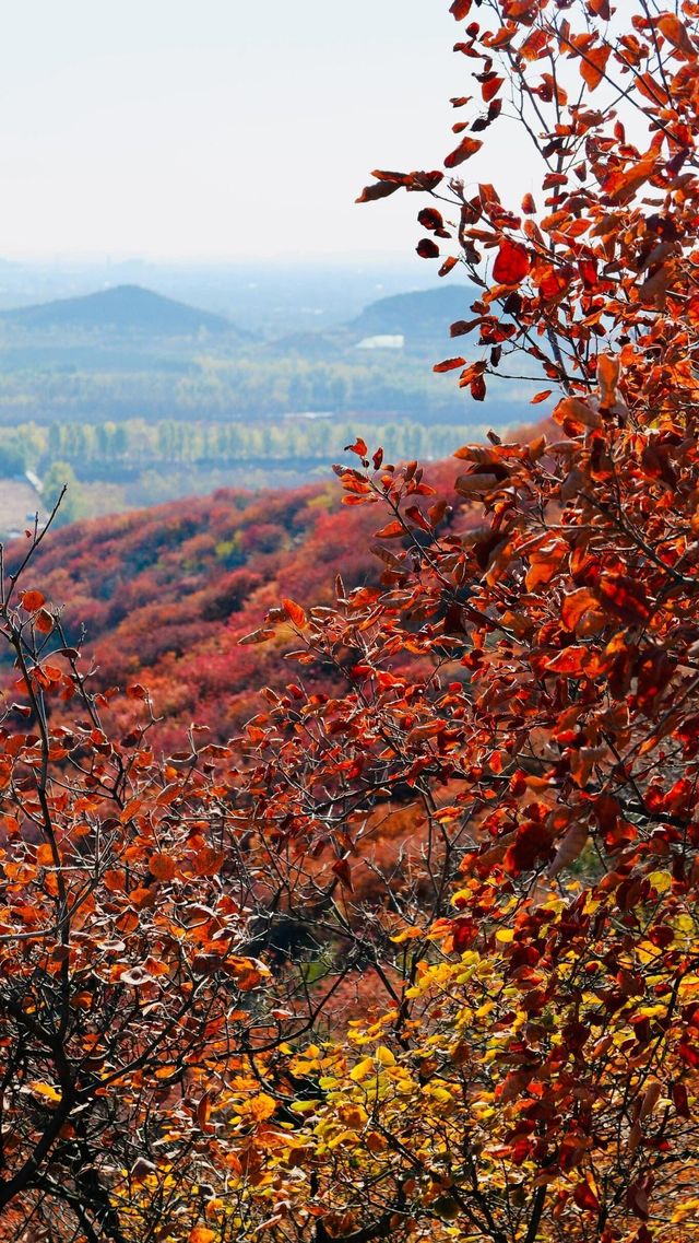 北京順義舞彩淺山。