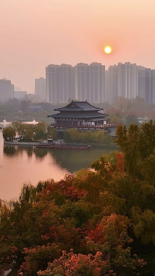 根本不敢想，錯過興慶公園的秋天我有多遺憾。