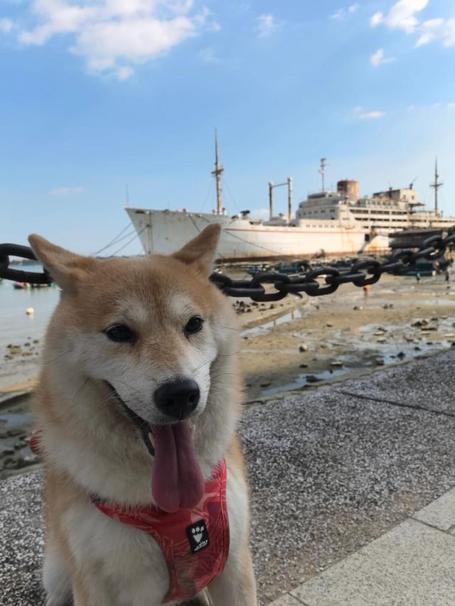 漁港公園碼頭。