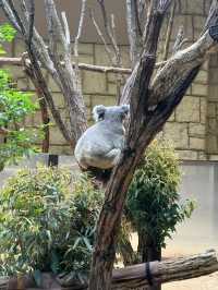 Nagoya Higashiyama Zoo and Botanical Gardens