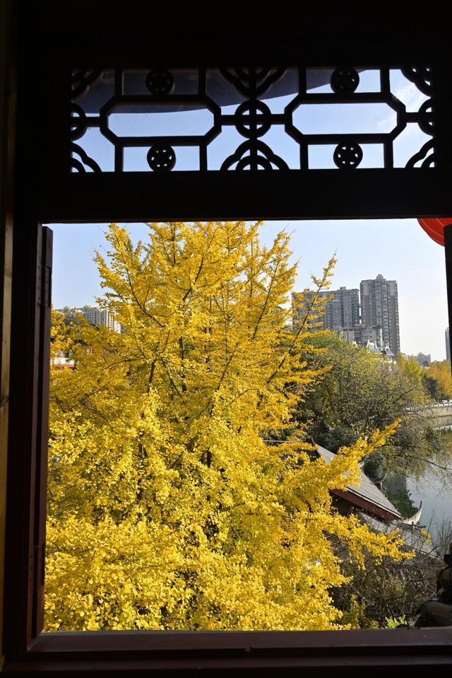 成都好逛的百花潭公園｜山水園林和城市錦繡的寫意。