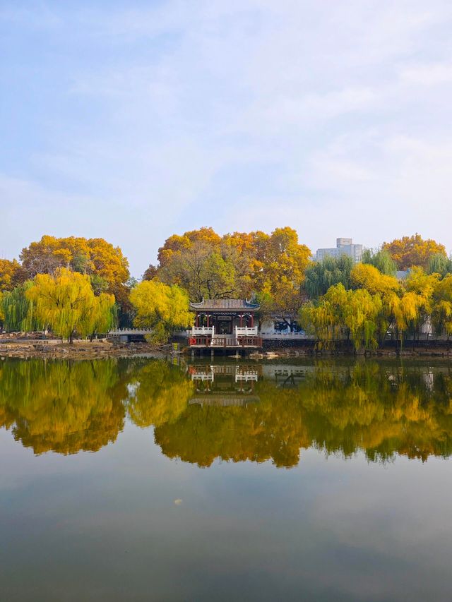 秋天的影像詩｜石家莊長安公園|||這段時間，天氣可愛。