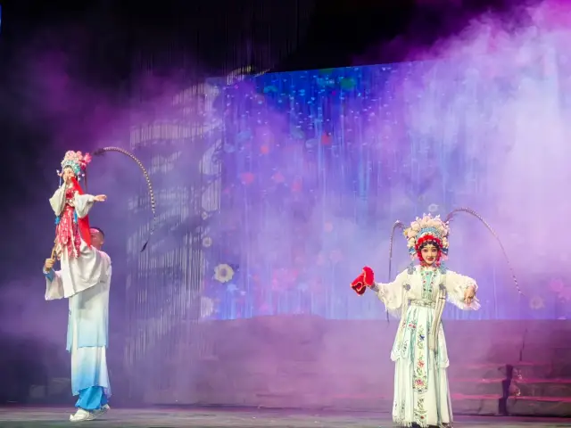 Chengdu Hibiscus Sichuan Opera Face-Changing Show.