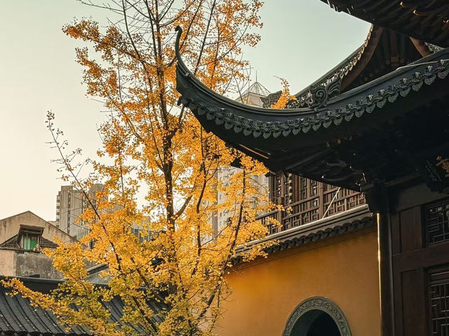 Jade Buddha Temple: A Serene Sanctuary in Shanghai