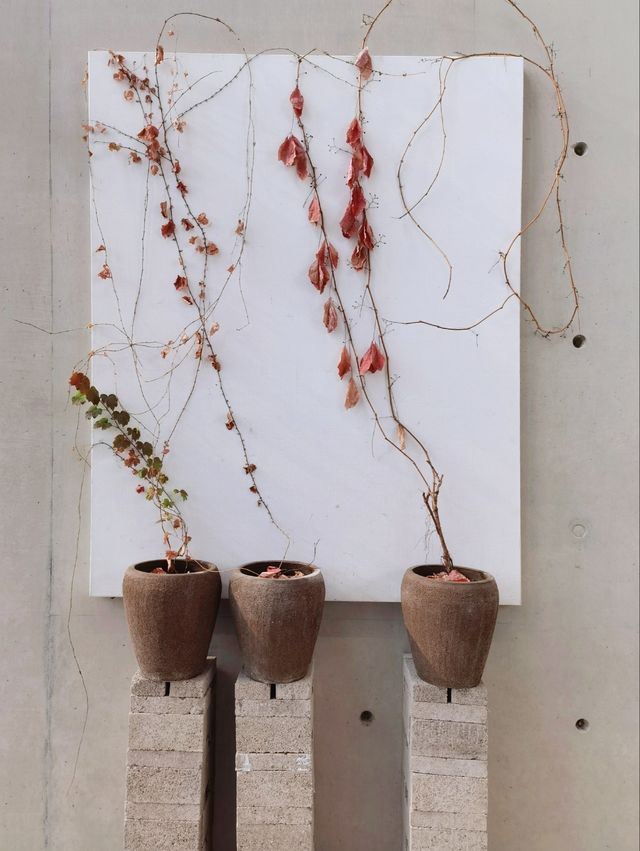 龍美術館建築的獨特性，與「繪畫」作品相得益彰。