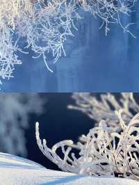 延吉滑雪‖夢都美滑雪場打卡避坑攻略