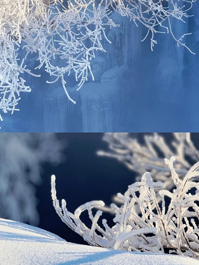 延吉滑雪‖夢都美滑雪場打卡避坑攻略