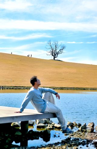 Rizhao Egret Bay Town | A poetic place to live in autumn and winter