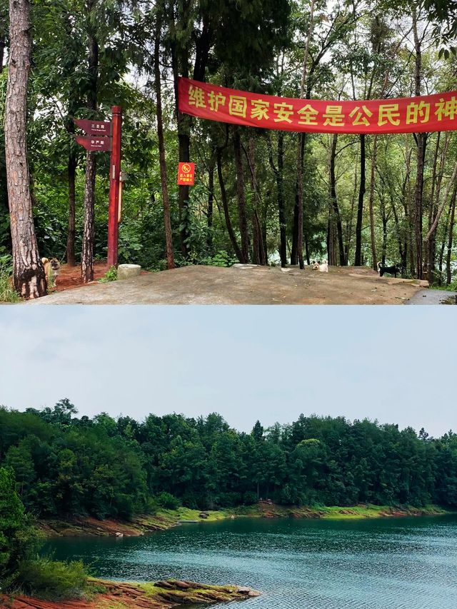 眉山水庫秘境，邂逅悠然生活