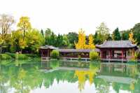 南郊公園｜一處隱藏在都市中的古色古香