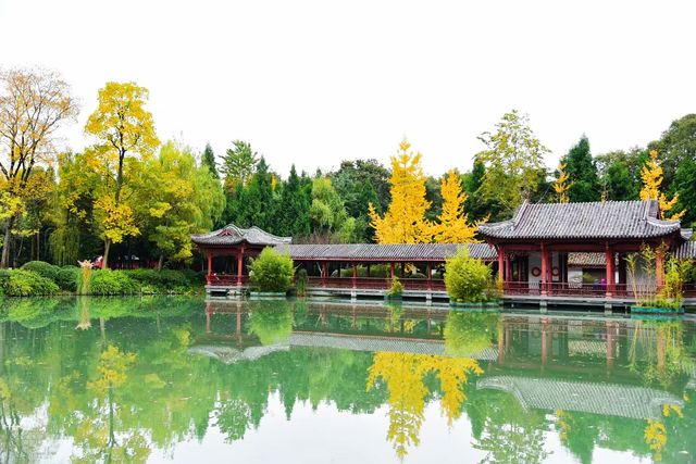 南郊公園｜一處隱藏在都市中的古色古香