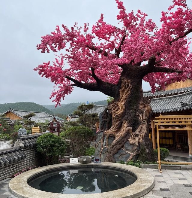 琵岩山溫泉｜冬天必須來一場泡湯吧！！！