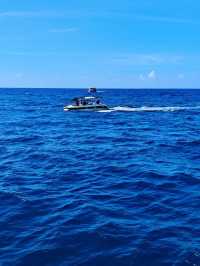 Sri Lanka Whale Watching Adventure