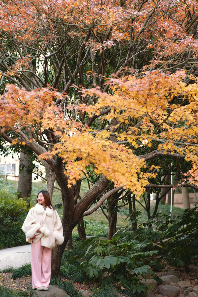 上海市中心竟然藏着這一片「四季」美景