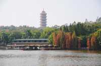 佛山三水森林公園