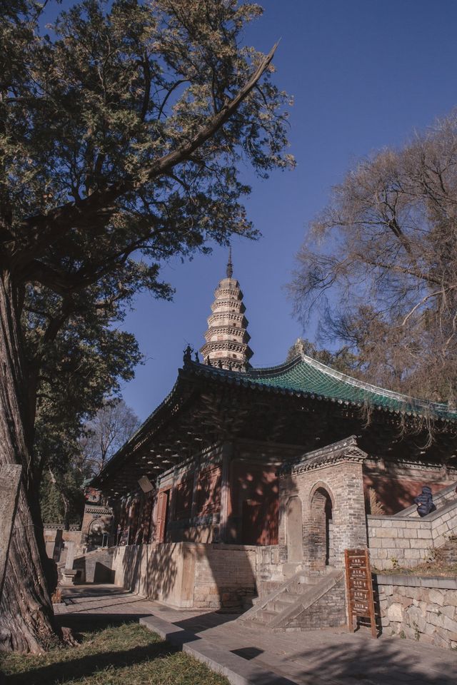 濟南旅行攻略，探秘冬日裡的千年古剎靈岩寺