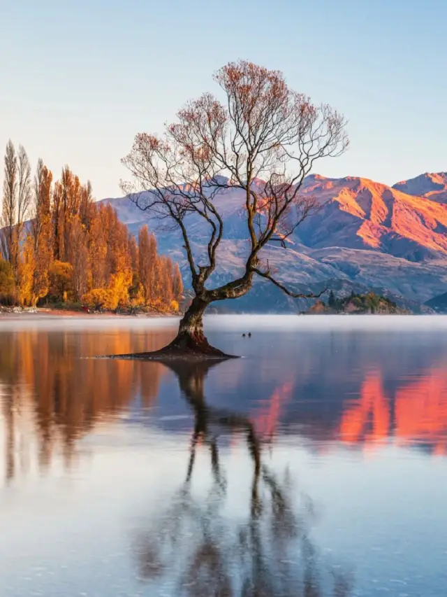 8-Day New Zealand Autumn Travel Guide: Unmissable Scenery
