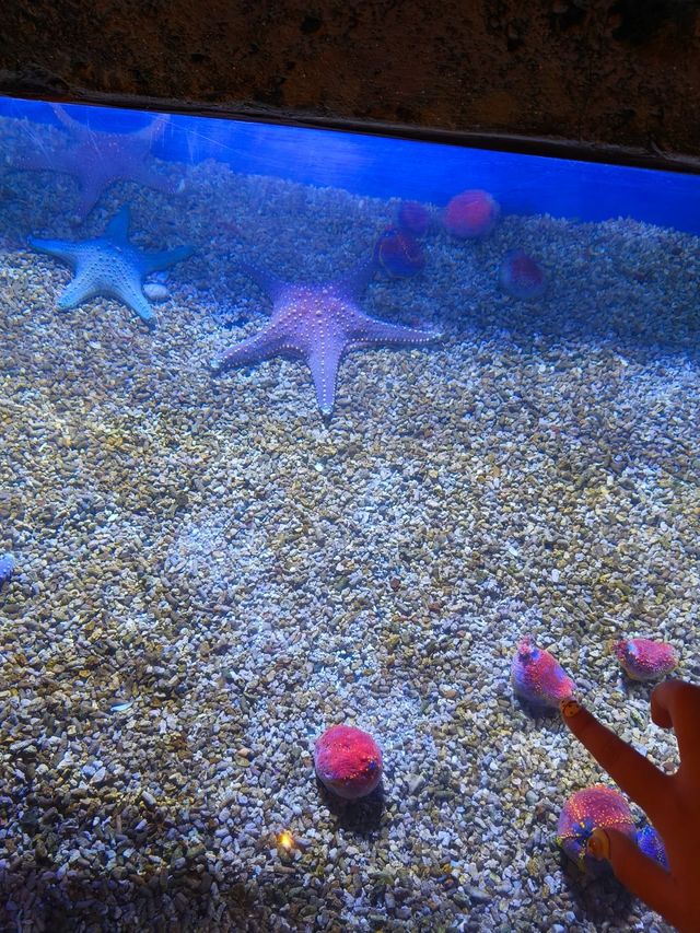波塞冬海底世界｜深海奇觀