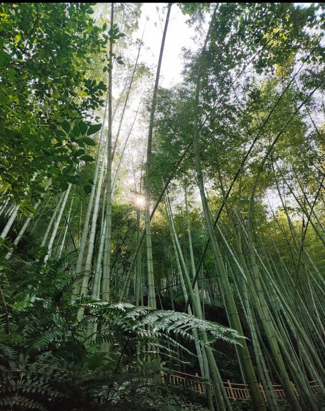 山與水