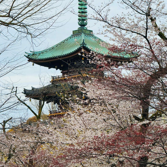 自然與文化的交匯：東京上野公園