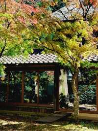 日本6日溫泉之旅｜湯裡享受好時光