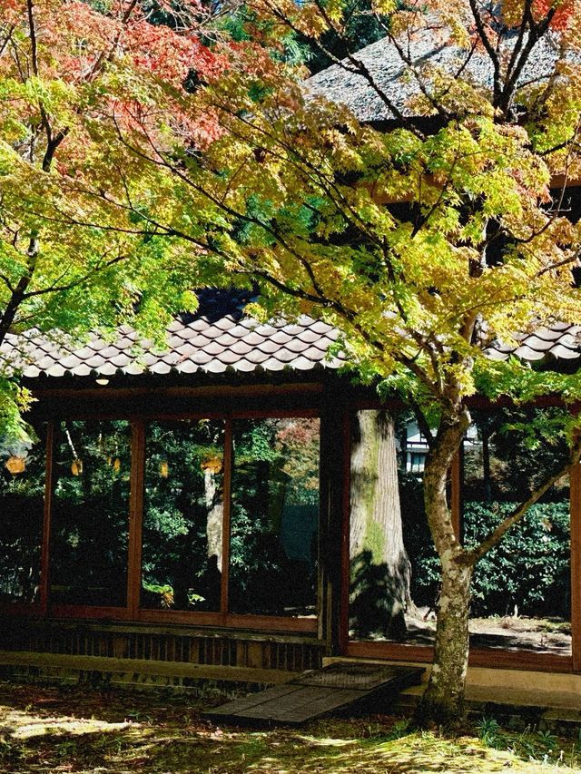 日本6日溫泉之旅｜湯裡享受好時光