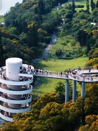 高山水庫變成了湖·高空步道美景盡收