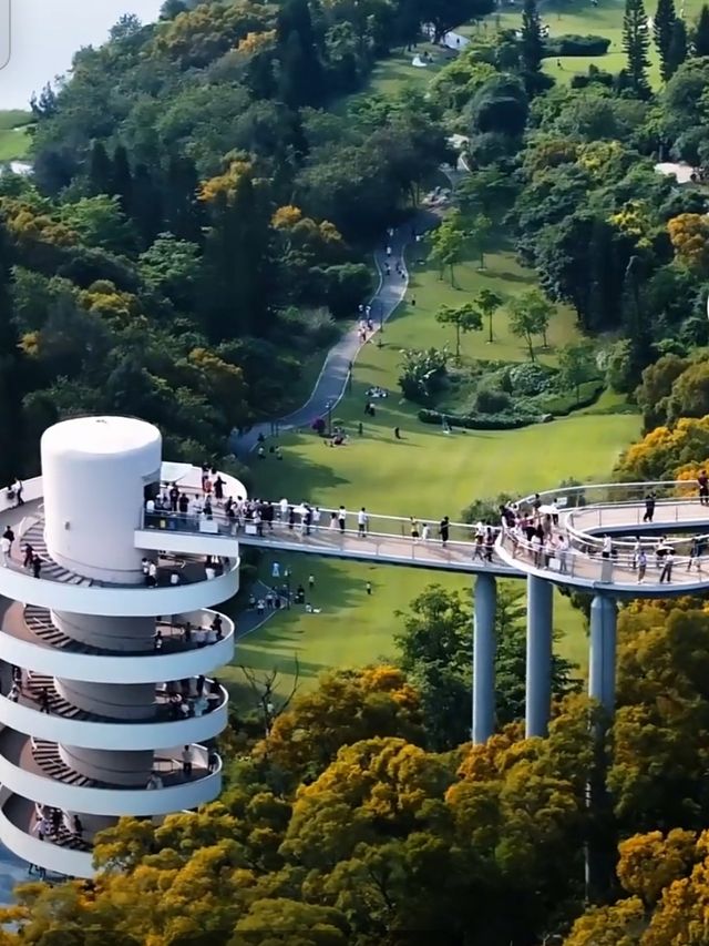 高山水庫變成了湖·高空步道美景盡收