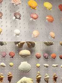 天津濱海海洋博物館,解鎖藍色星球的奧秘