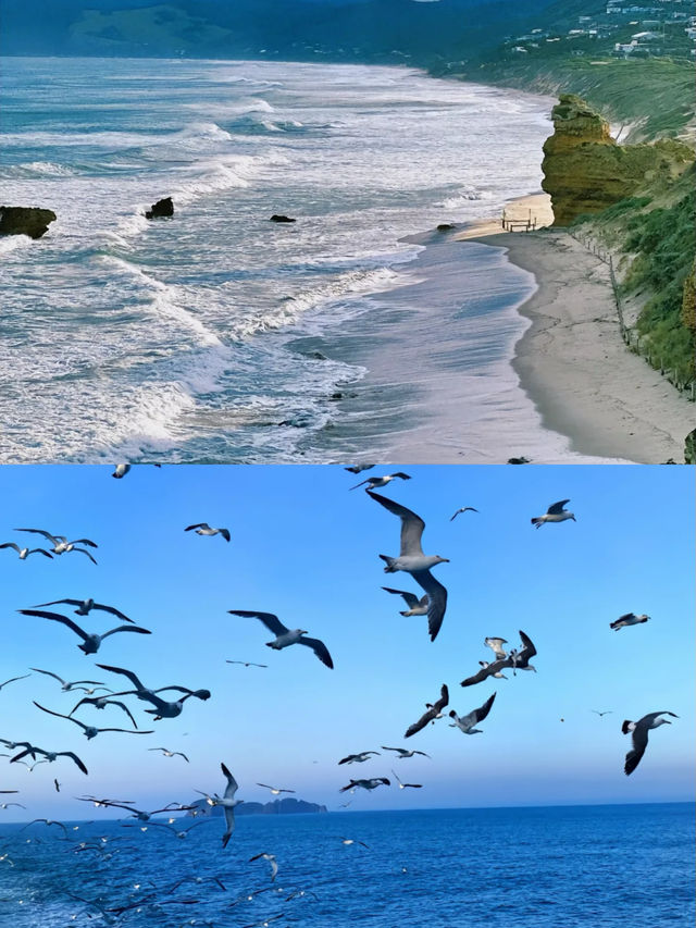 在青島邂逅海景中的浪漫小窩