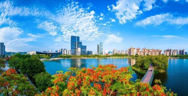 南沙燈會等你來