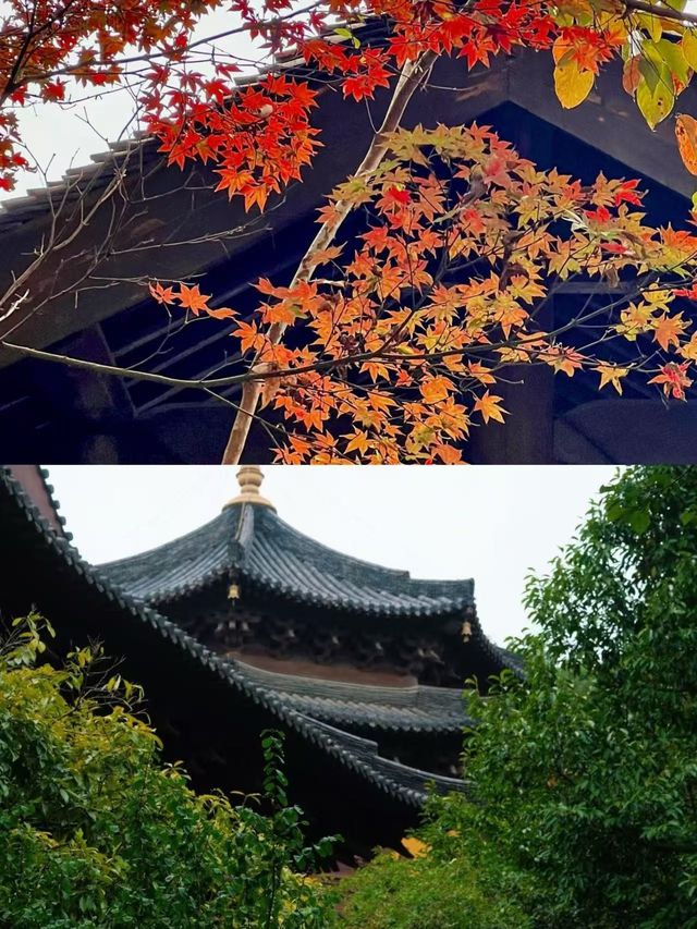 杭州超小眾寺廟，西湖邊的慧因高麗寺