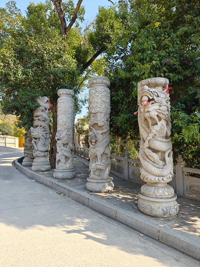 武漢旅遊 | 來寶通禪寺拜拜可以順道吸個貓