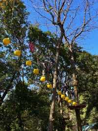 春節新玩法｜開年「撒野」體驗新不一樣的瘋狂