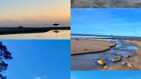 寶藏半島的浪漫之旅 — traveler post in 科羅曼德爾