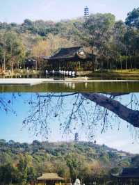 諸暨丨超輕鬆的48小時旅遊攻略