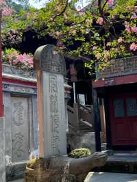 都江堰-青城山2日遊 玩轉古堰與仙山