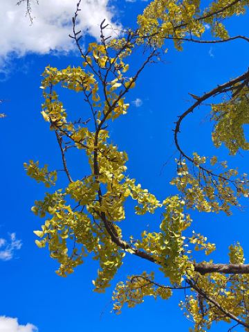 6日暢遊昆明-西雙版納-普洱 這些美景別錯過