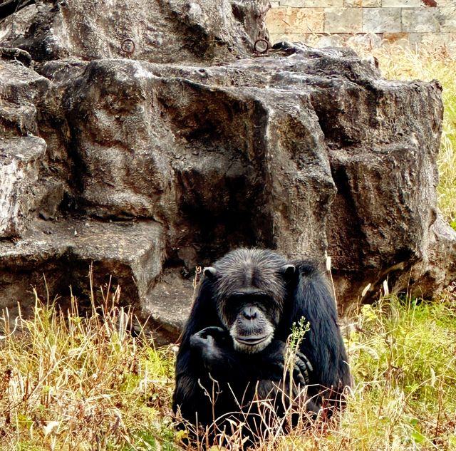 打卡-北方森林動物園