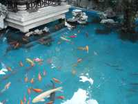 佛山 | 祖廟-嶺南天地輕鬆半日遊