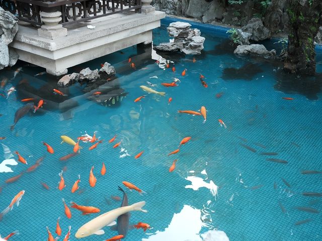 佛山 | 祖廟-嶺南天地輕鬆半日遊 佛山 | 祖廟-嶺南天地輕鬆半日遊