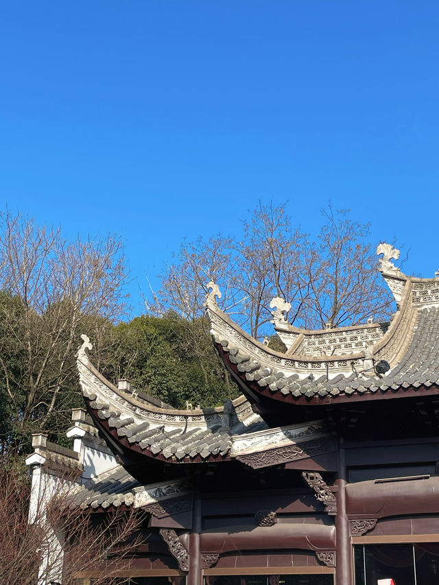 合肥丨新徽園:一園縱覽江淮景韻 合肥丨新徽園:一園縱覽江淮景韻