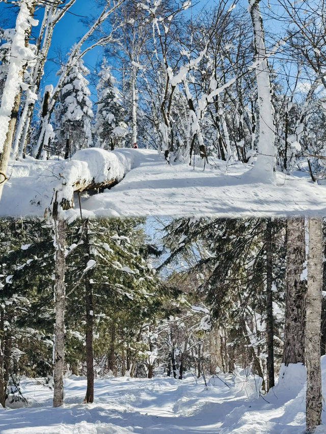 我上春山與你來見