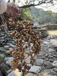 🪨廣東這個神秘古村竟用石頭造了600年