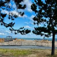 打卡日本大阪阪南里海公園