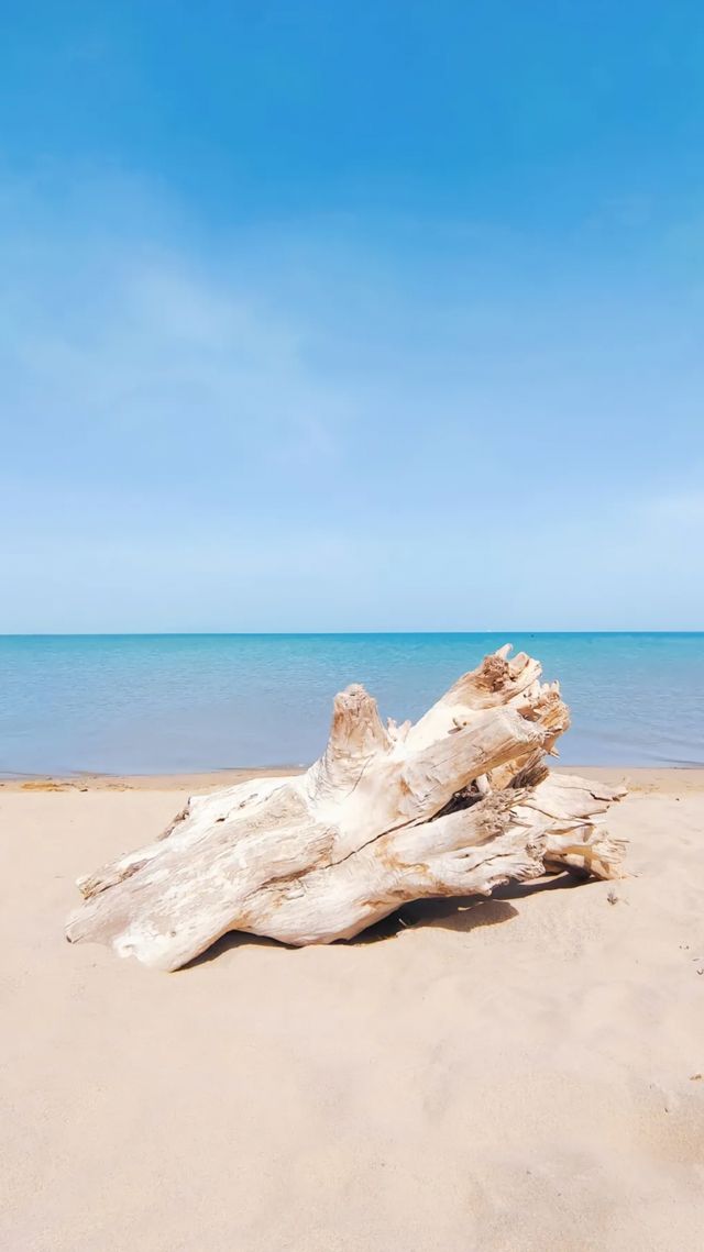 遇見博斯騰湖，邂逅一場夢幻之旅