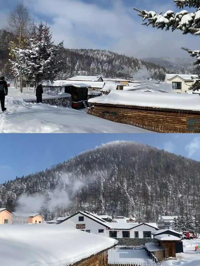 狗熊嶺|現實版的童話秘境