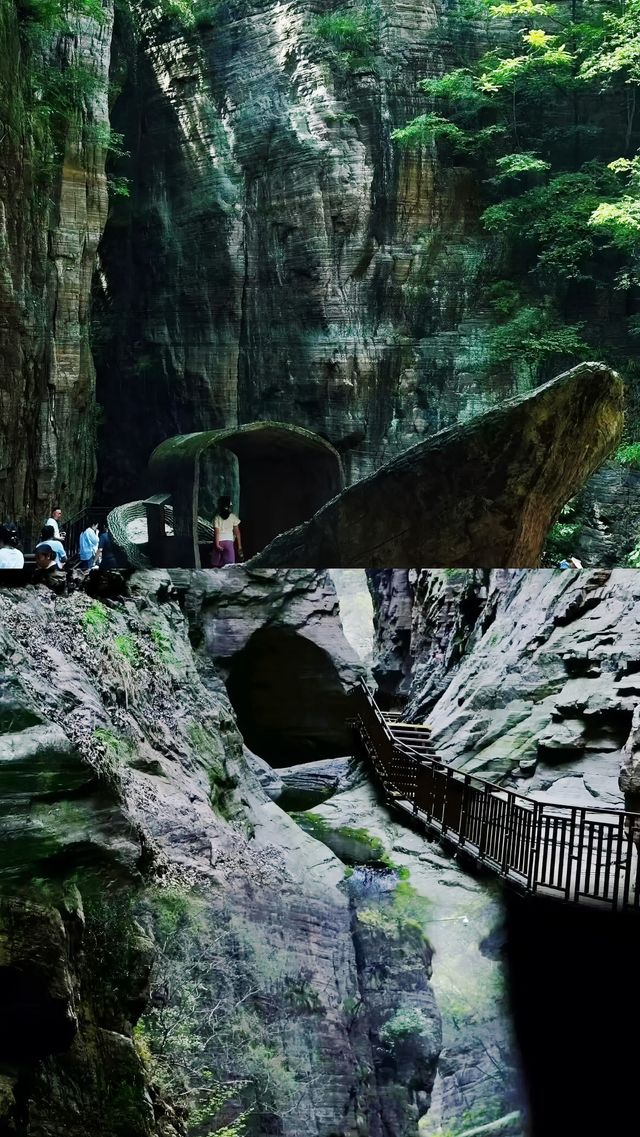 破產後逆襲！被遺漏的龍潭大峽谷